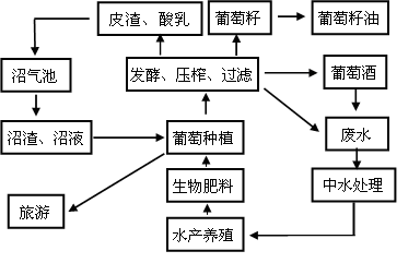 许昌假发产业升级转型之路 从家庭作坊到全球品牌